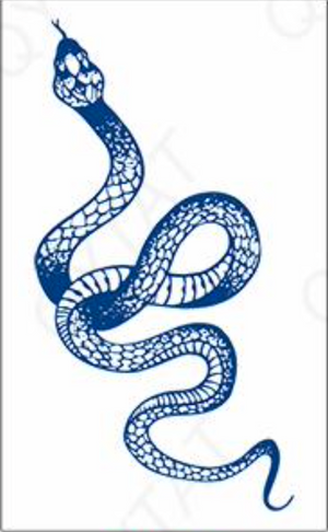 The Long Snake Tattoo (Size: 110x180 Mm)