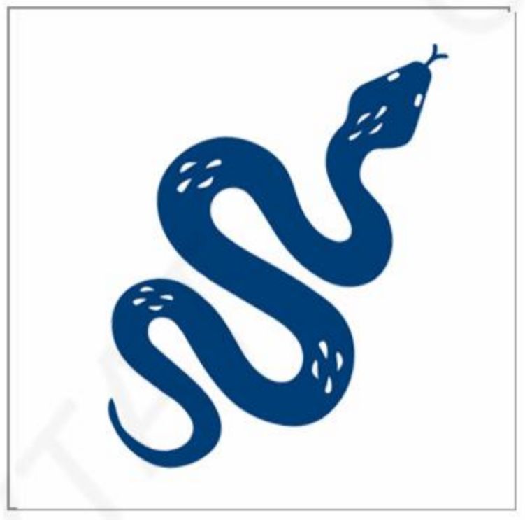 The 'Snake' Tattoo