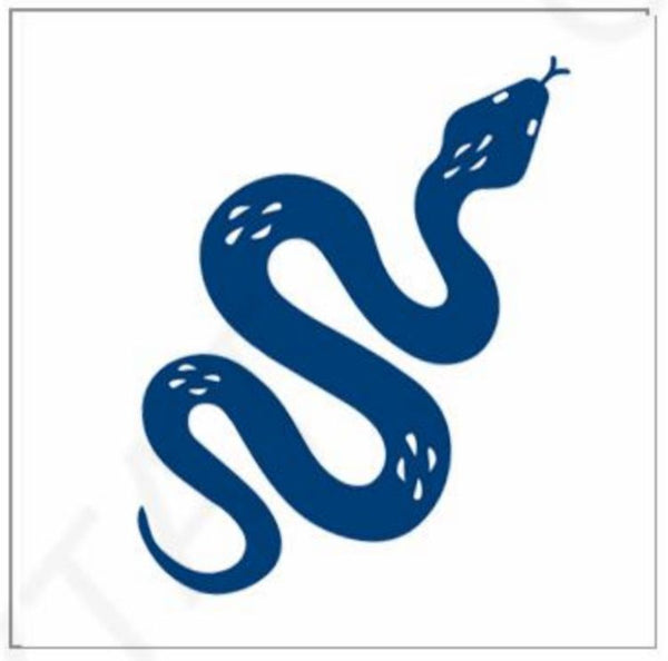 The 'Snake' Tattoo