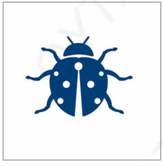 The 'Beetle' Tattoo