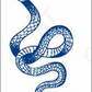 THE LONG SNAKE TATTOO (Size: 110x180 mm)