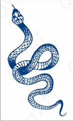 THE LONG SNAKE TATTOO (Size: 110x180 mm)