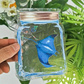 TRAPPED IN A JAR