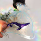 AMPHIBIAN DREAM SUN CATCHERS