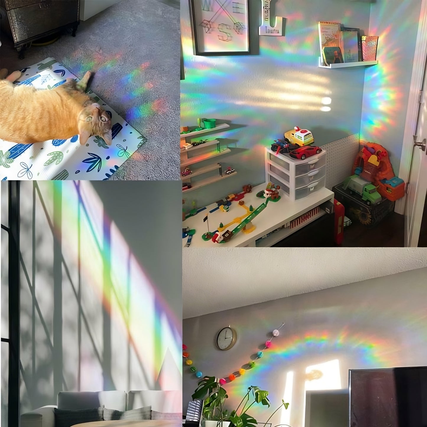 MUSHROOM TRIVIA SUN CATCHERS